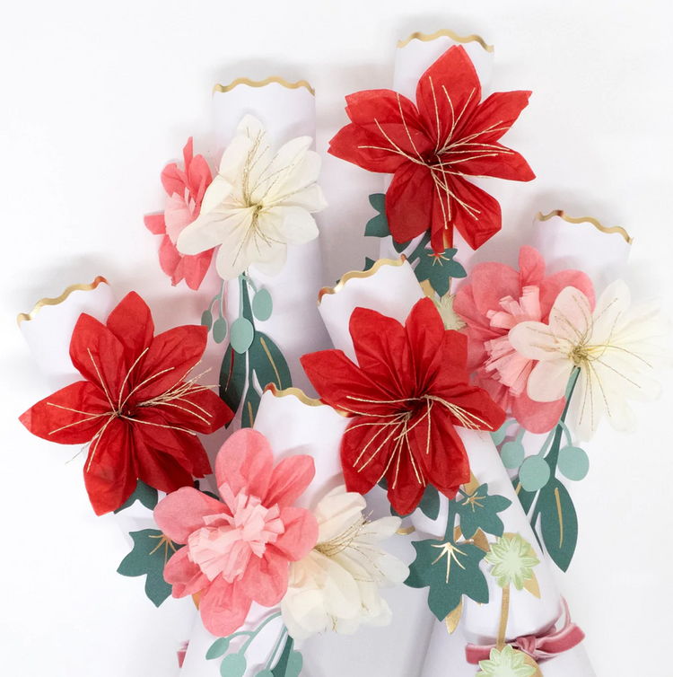 Hazel Gardiner Christmas crackers nz