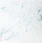 Oh Baby Gender Reveal Balloon