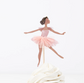 Ballerina Cupcake Kit